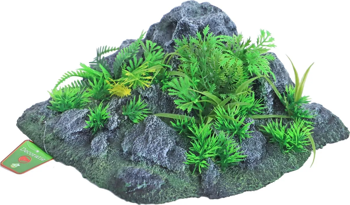 Boon aqua deco landscape rots met planten corner, 24x12 cm. van Gebr. de Boon in Grijs – productfoto