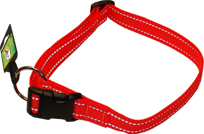Boon Dog Fashion - Nylon Hondenhalsband - Verstelbaar - Kleur: - Nekomtrek: 45-70 cm von Gebr. de Boon in Orange – Produktfoto
