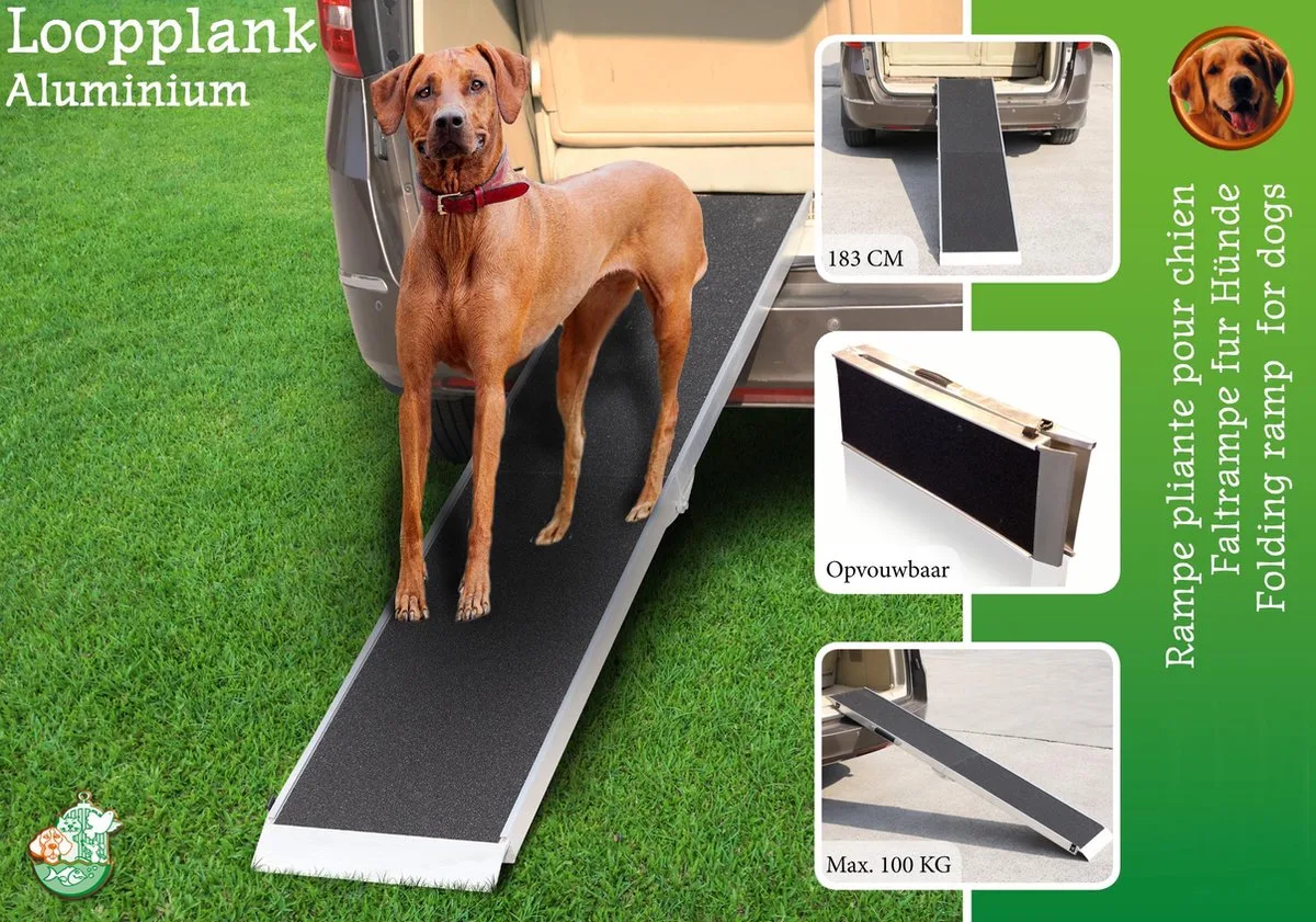 Boon Loopplank Aluminium Antislip - 183 cm - Max 100 kg van Gebr. de Boon – productfoto