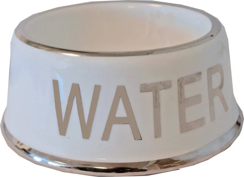 Boon Waterbak Hond - 18 cm fra Gebr. de Boon i Hvid, Sølv – produktbillede