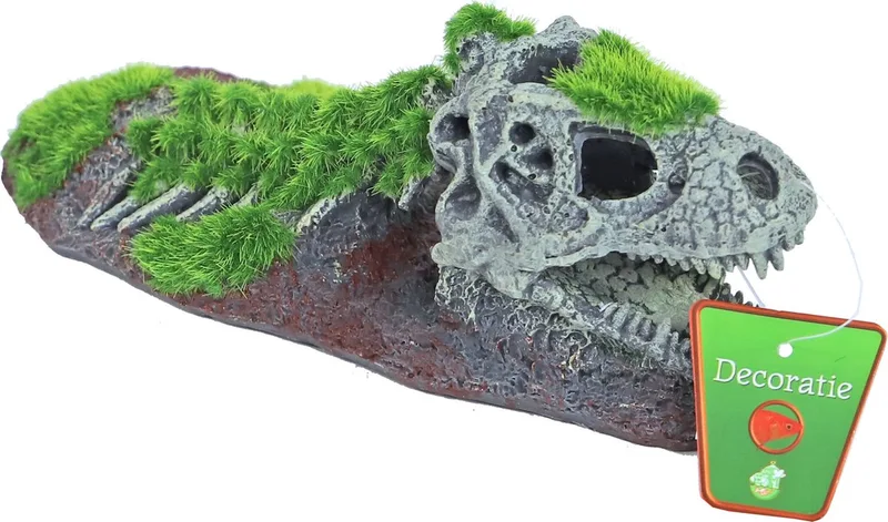 Dinosaurus skelet aquarium ornament | 21×9 cm | schuilplek by Gebr. de Boon in Brown – product photo