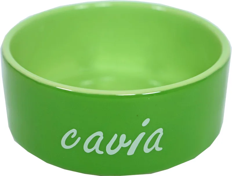 Eetbak Steen Cavia Groen Ø12cm by Gebr. de Boon – product photo