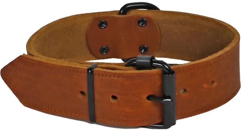 Halsband softleder 30mm/50cm cognac Gebr. de Boon de Gebr. de Boon en Marron – photo produit