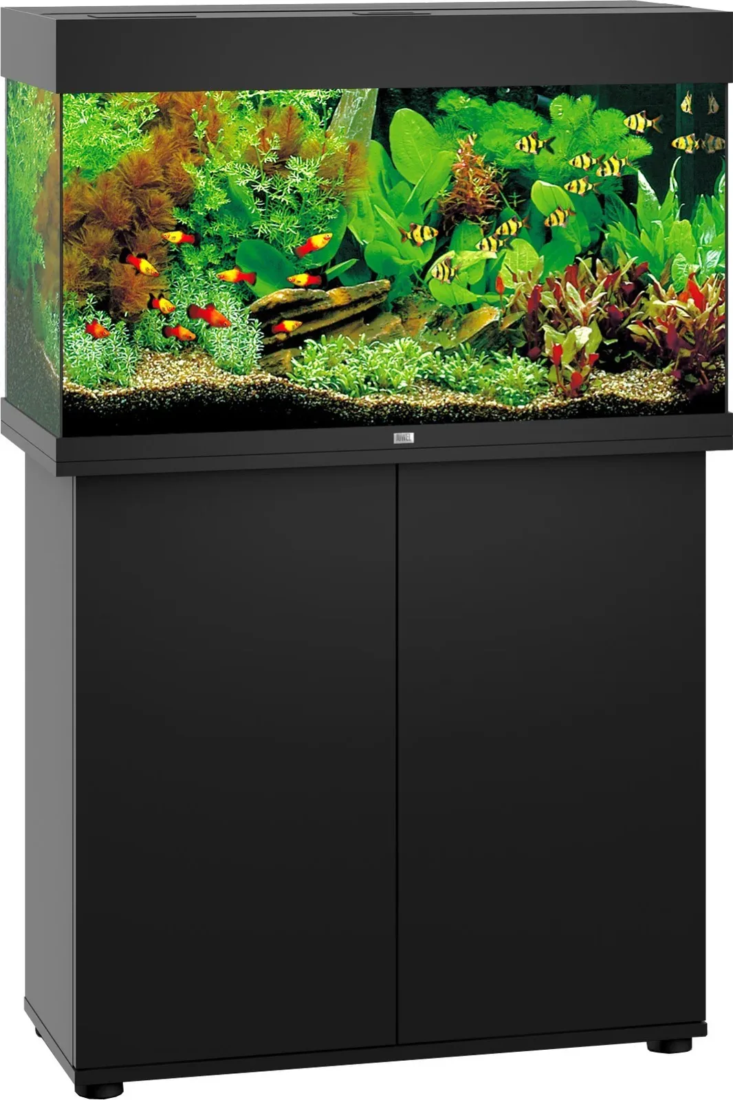 Juwel aquarium Rio 125 LED met filter zwart Juwel Gebr. de Boon de Gebr. de Boon – photo produit