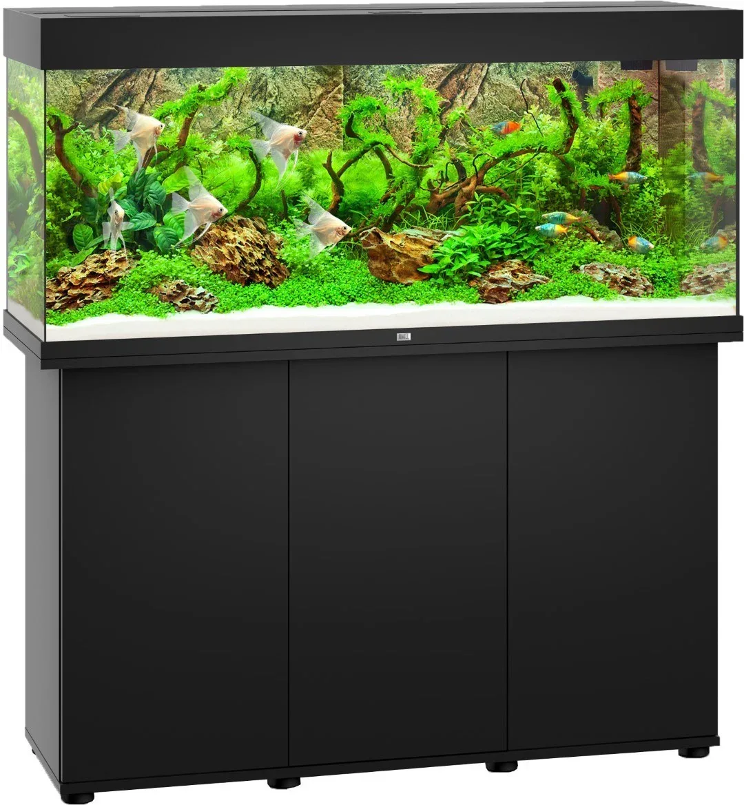 Juwel aquarium Rio 240 LED met filter zwart Juwel Gebr. de Boon van Gebr. de Boon – productfoto