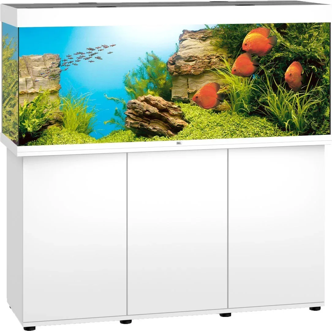 Juwel aquarium Rio 450 LED met filter wit Juwel Gebr. de Boon de Gebr. de Boon – photo produit