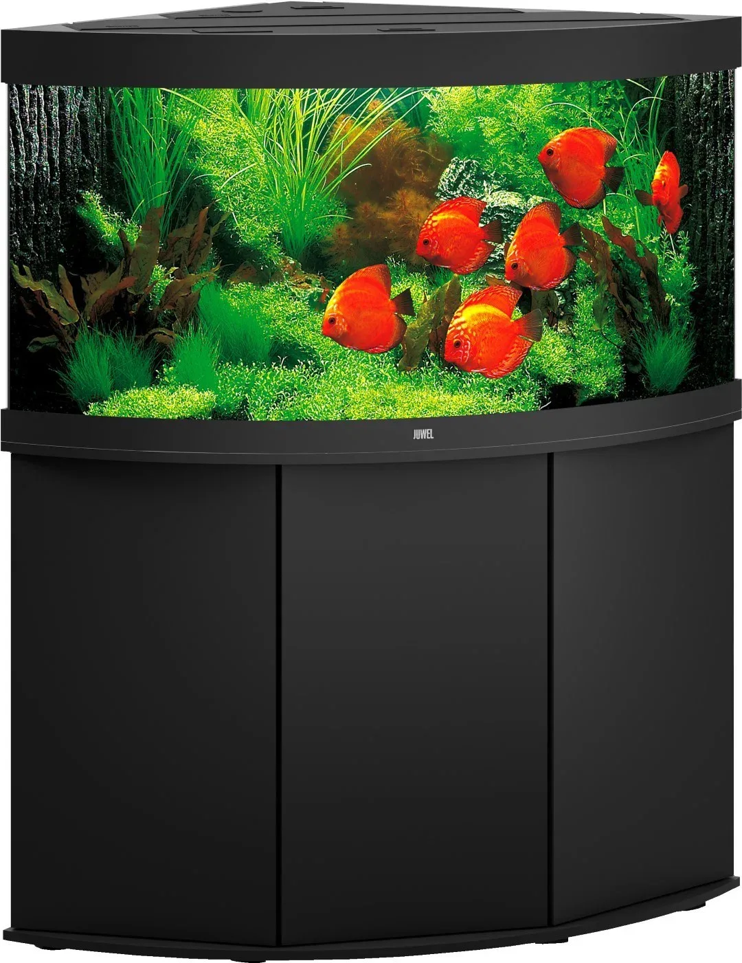 Juwel aquarium Trigon 350 LED met filter zwart Juwel Gebr. de Boon de Gebr. de Boon – photo produit
