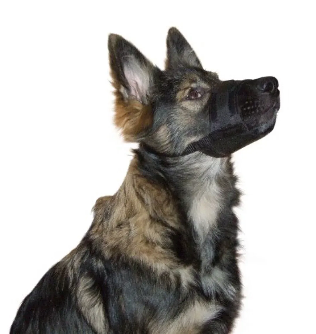 Mikki Muzzle muilband nr. 2 XL Company-of-animals Gebr. de Boon von Gebr. de Boon – Produktfoto