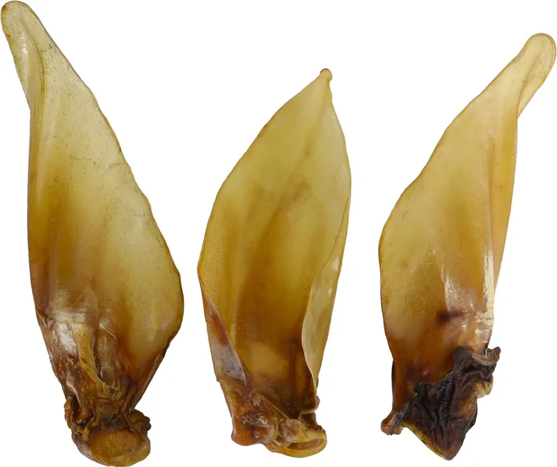 Natuurlijke Hondensnack - Runderoren met Oorschelp - 3 Stuks by Gebr. de Boon – product photo
