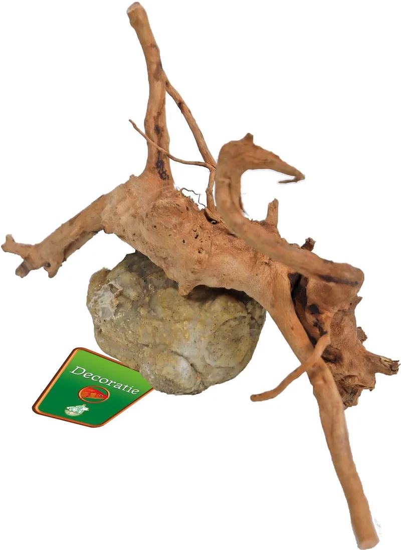 Spiderwood met rots | natuurlijk aquarium ornament | 10-20 cm de Gebr. de Boon en Beige – photo produit