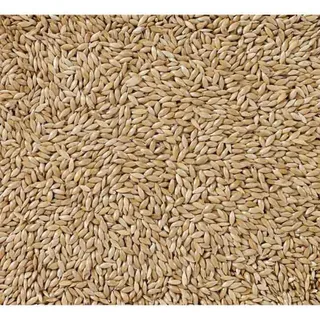 Alpiste Extra-5kg Vogelvoer von Deli Nature – Produktfoto 2 von 2