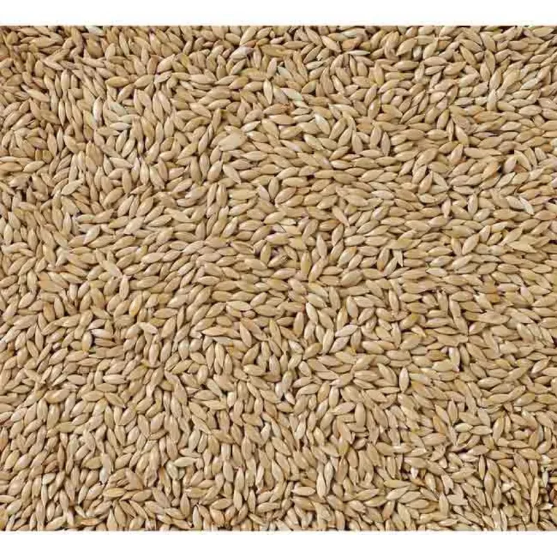 Alpiste Extra-5kg Vogelvoer von Deli Nature – Produktfoto 2 von 2