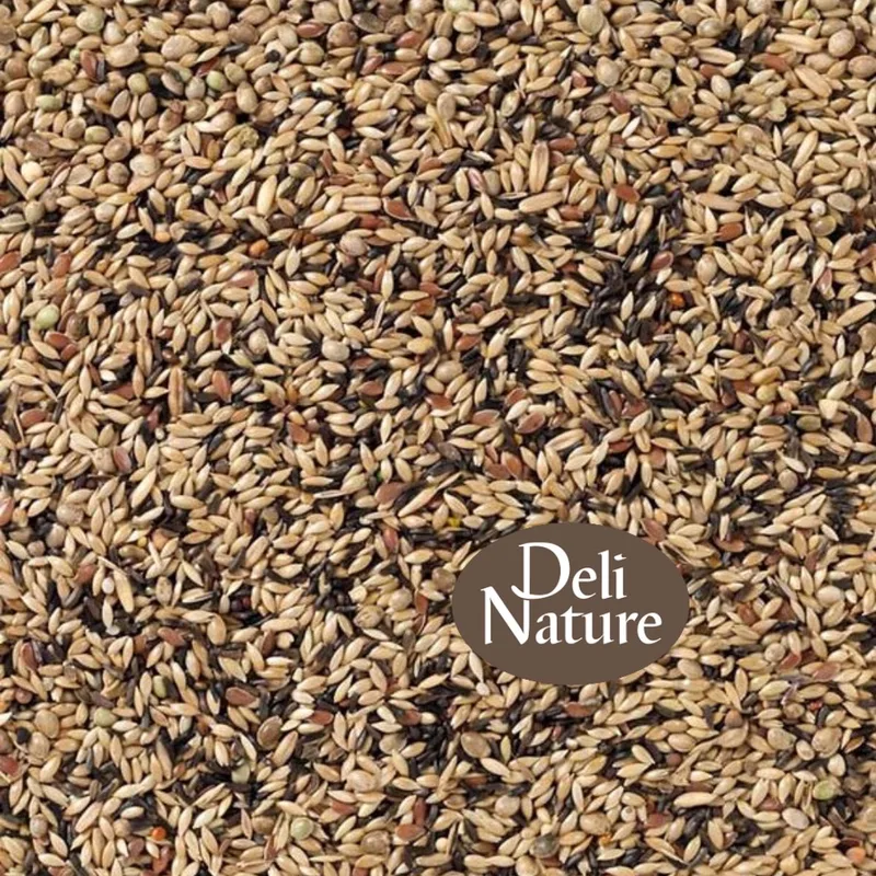 Binnenvogels- Vogelvoer- Vogelzaad- Kanariezaad- Deli Nature 80- Kanarie Kweek zonder raapzaad- 2 kilo de Deli Nature – photo produit