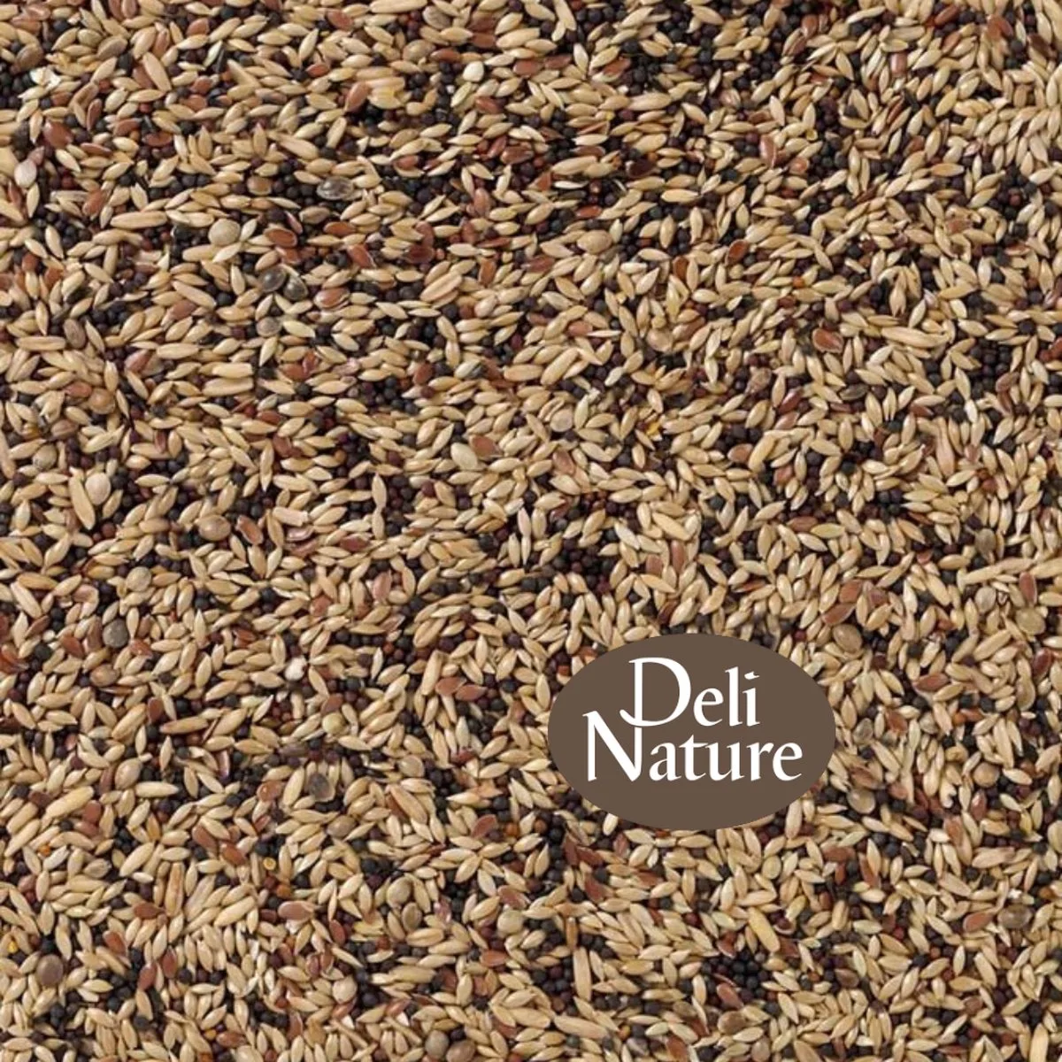 Binnenvogels- Zangzaad- Kanarie- Deli Nature 53 Kanariezaad Zangzaad Extra- 2 kilo de Deli Nature – photo produit