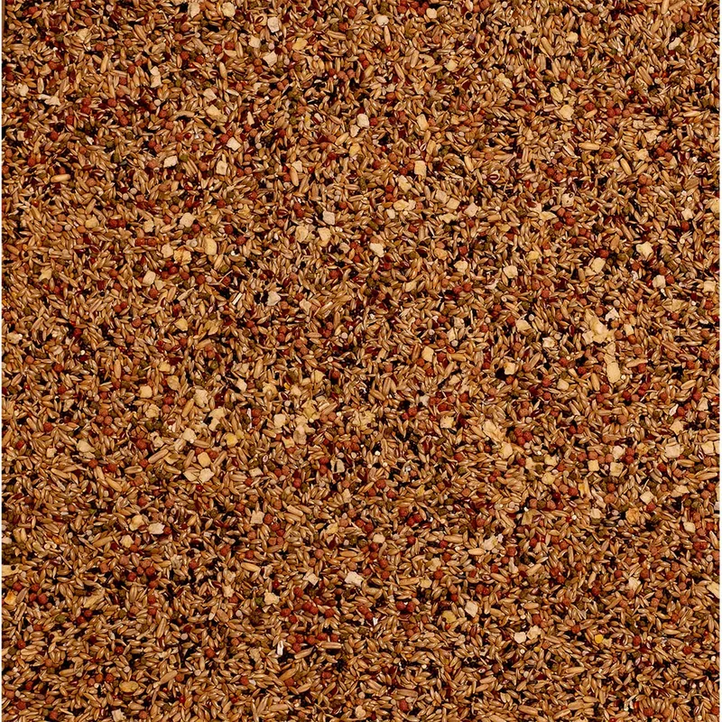 Birdelicious Canarios-2.5kg Vogelvoer by Deli Nature – product photo 2 of 2