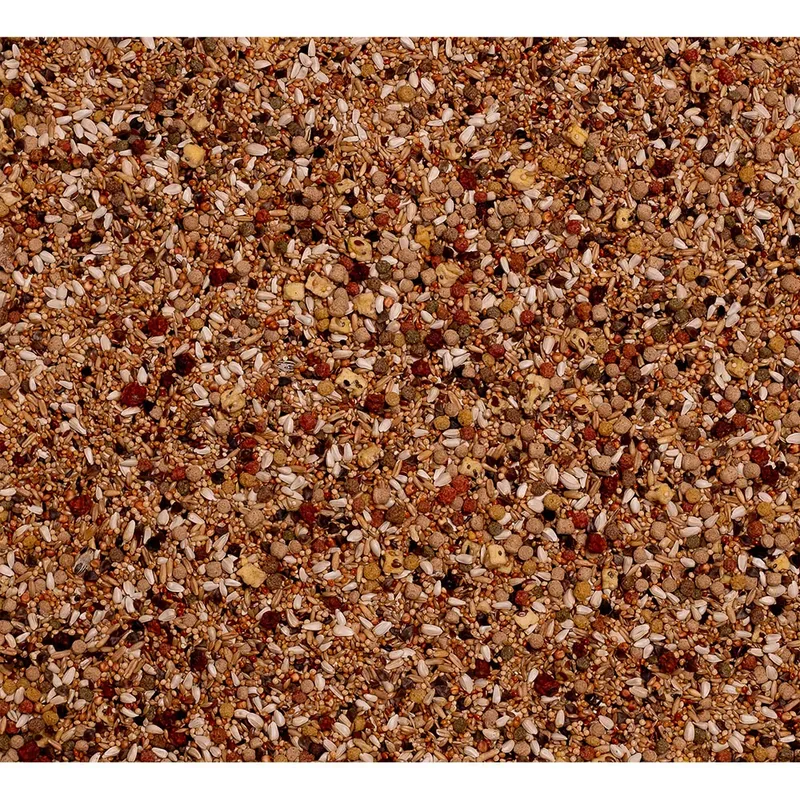 Birdelicious Cotorras Africanas-800g Vogelvoer von Deli Nature – Produktfoto 2 von 2