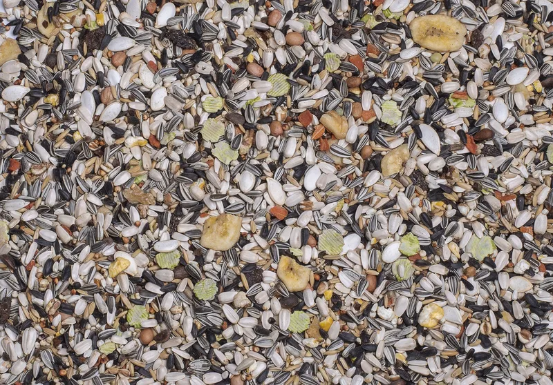 Caatinga (Nr. 24) 15kg by Deli Nature – product photo