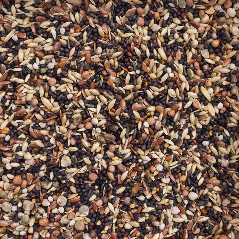 Europese Vogels Basis (Nr. 99) 20kg de Deli Nature – photo produit