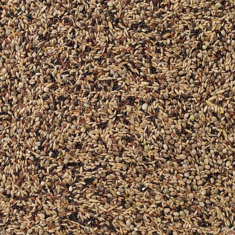 Europese Vogels (Nr. 91) 20kg von Deli Nature – Produktfoto