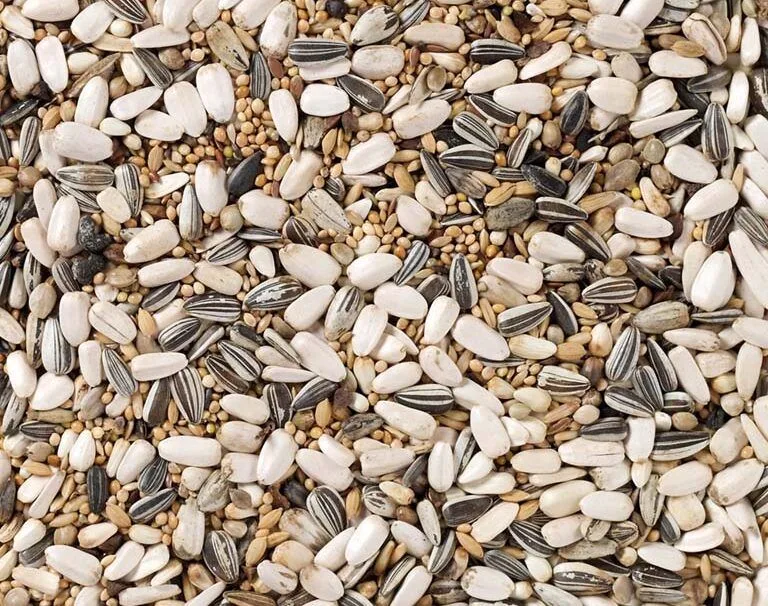 Grote Parkiet Standaard (Nr.59) 15kg de Deli Nature – photo produit