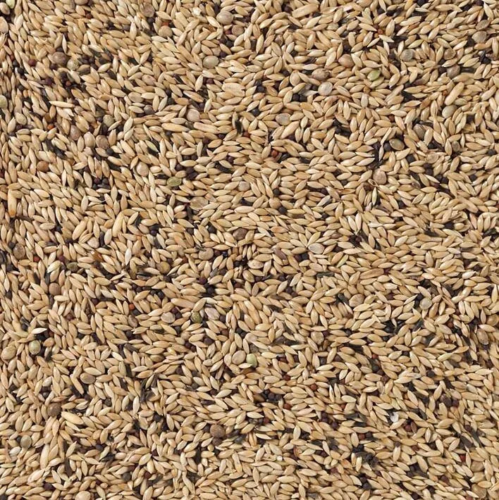 Kanarie Light (Nr. 65) 20kg by Deli Nature – product photo