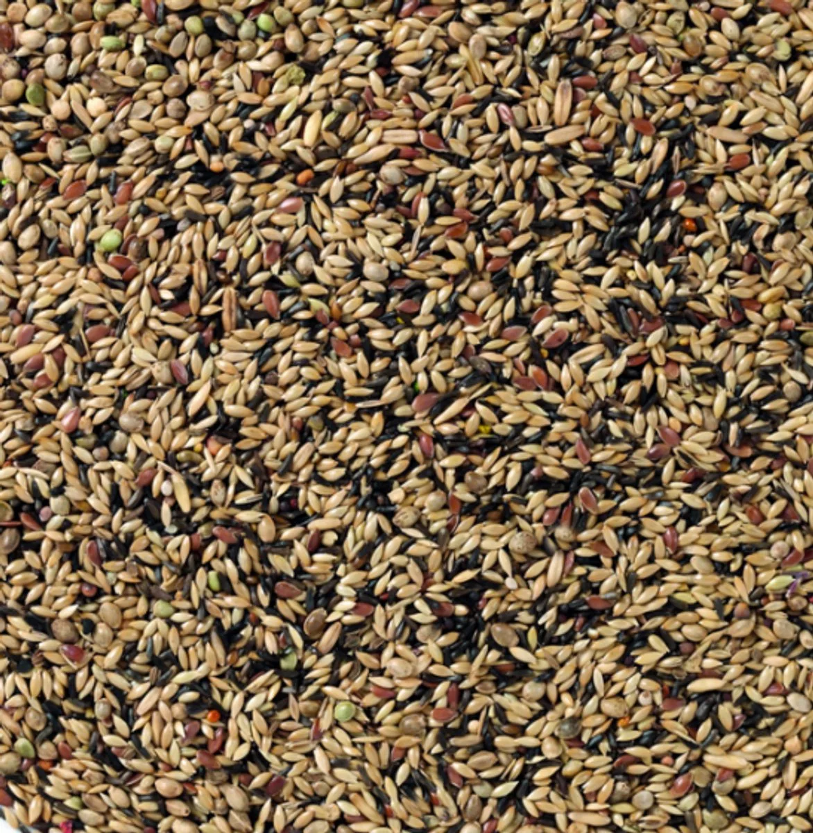 kanarie zonder raapzaad nr80 - 2,5 kg van Deli Nature – productfoto