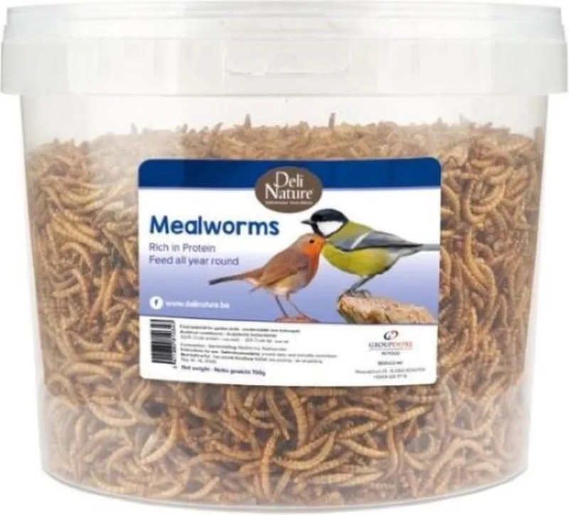 Meelwormen - meelwormen emmer 700 gram deli nature - kippensnack - kippen meelwormen - kippen snack - gevriesdroogde meelwormen - buitenvoeding vogels de Deli Nature – photo produit