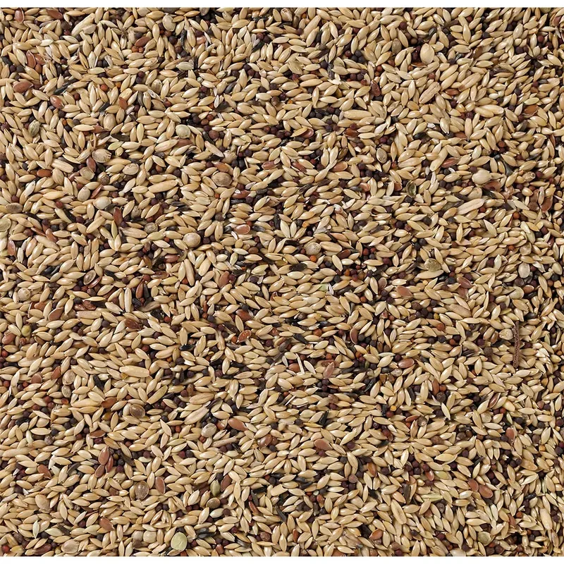 Mixtura Para Canarios Premium-4kg Vogelvoer de Deli Nature – photo produit 2 sur 2