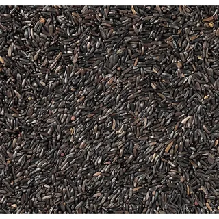 Negrillo-1kg Vogelvoer de Deli Nature – photo produit 2 sur 2