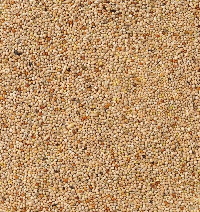 Parkiet Basis (Nr. 51) 20kg von Deli Nature – Produktfoto