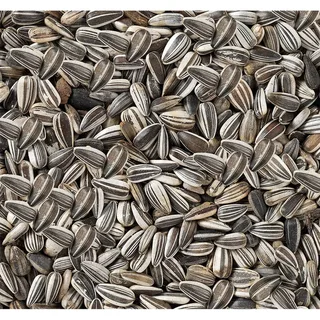 Pipas De Girasol Rayadas-2.5kg Vogelvoer by Deli Nature – product photo 2 of 2