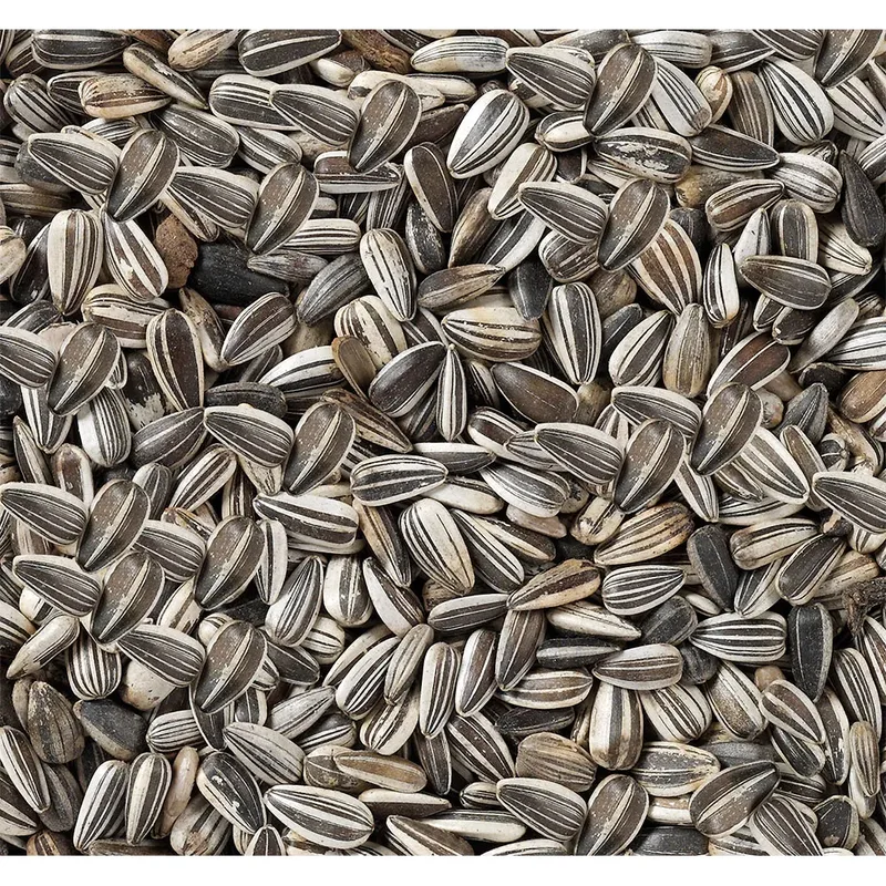 Pipas De Girasol Rayadas-2.5kg Vogelvoer by Deli Nature – product photo 2 of 2