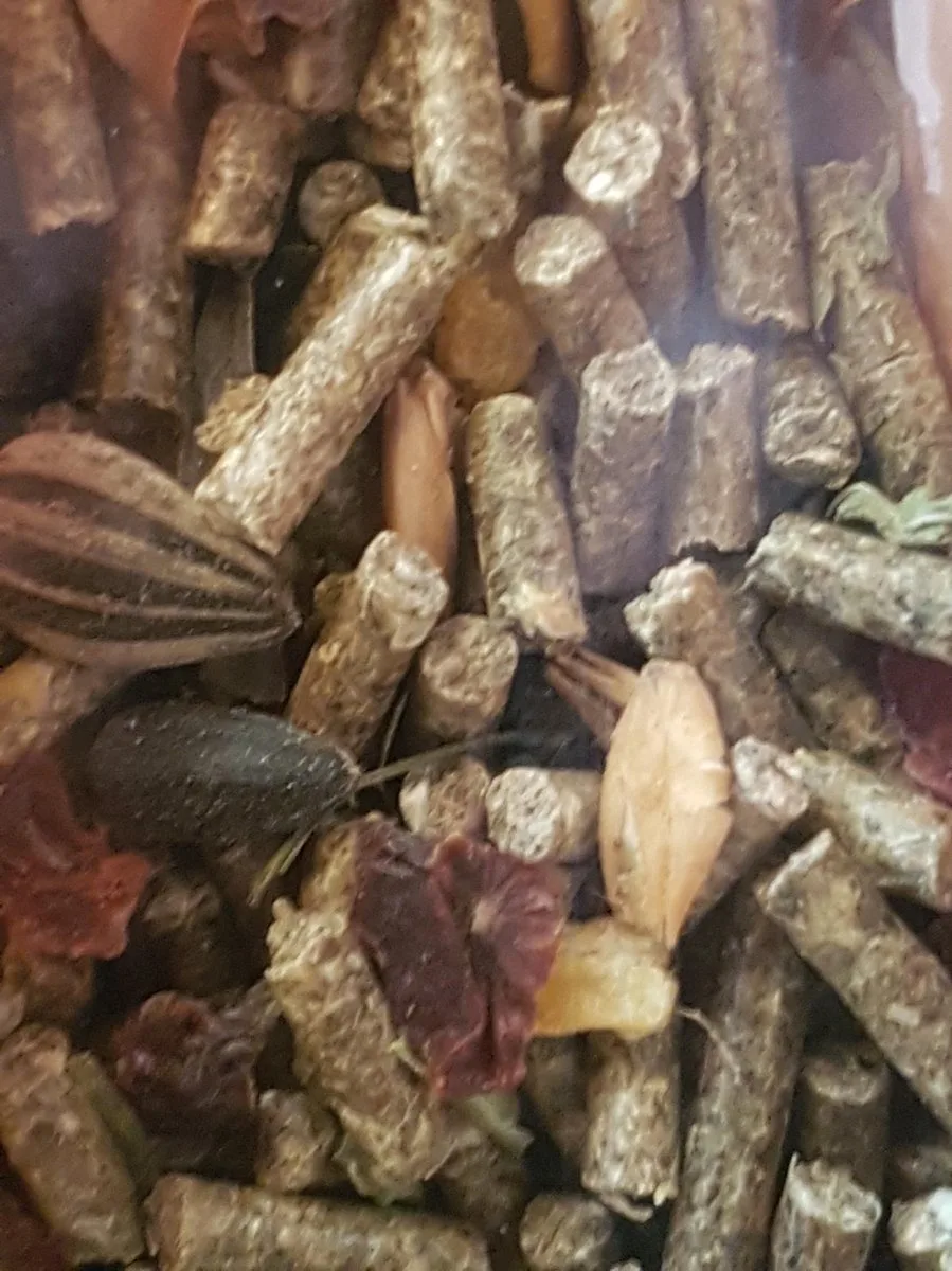 Menu 5* Para Chinchilla-5kg Nagetierfutter von Deli Nature – Produktfoto