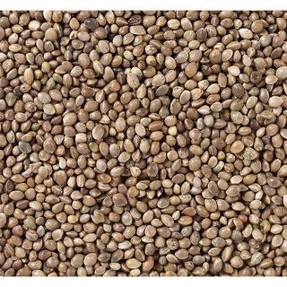 Semillas De Cañamo-700g Vogelvoer by Deli Nature – product photo 2 of 2