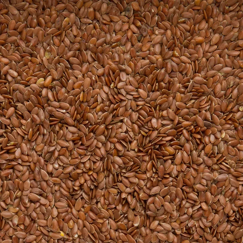 Semillas De Lino-1kg Vogelvoer de Deli Nature – photo produit 2 sur 2