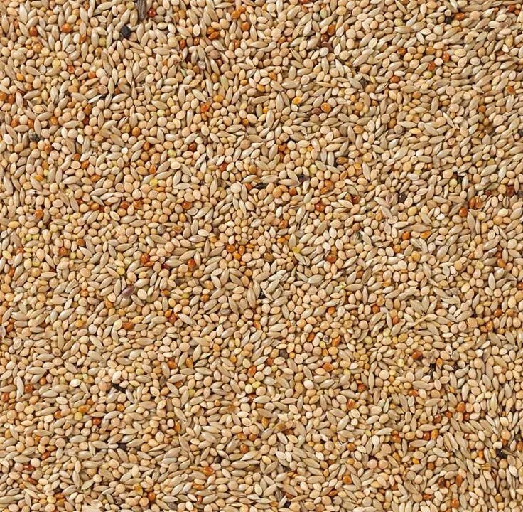 Tropische Vogels Basis (Nr. 40) 20kg de Deli Nature – photo produit