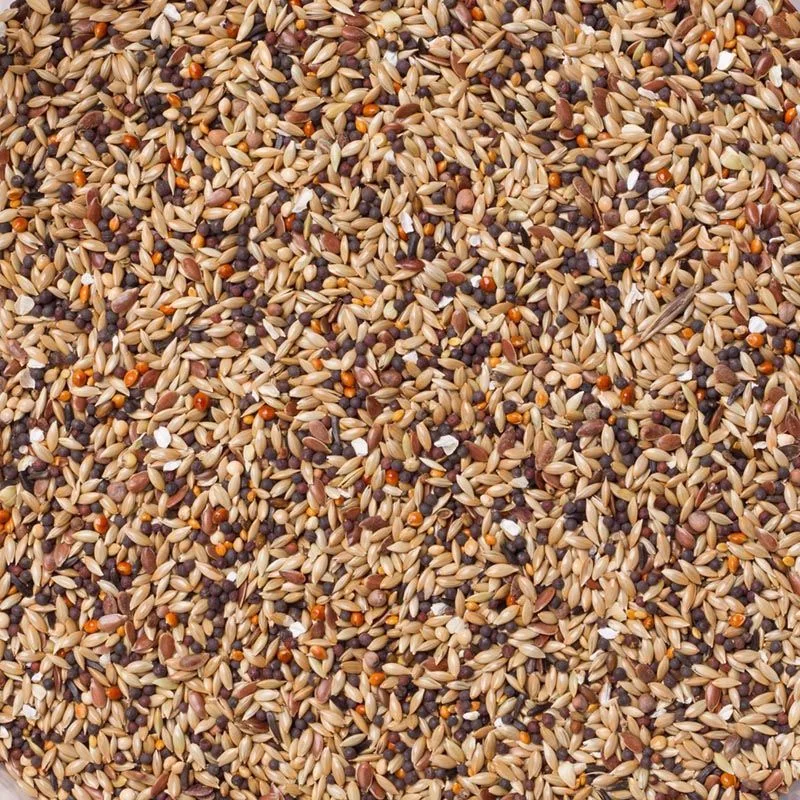 Vinken Sport (Nr. 92) 20kg von Deli Nature – Produktfoto