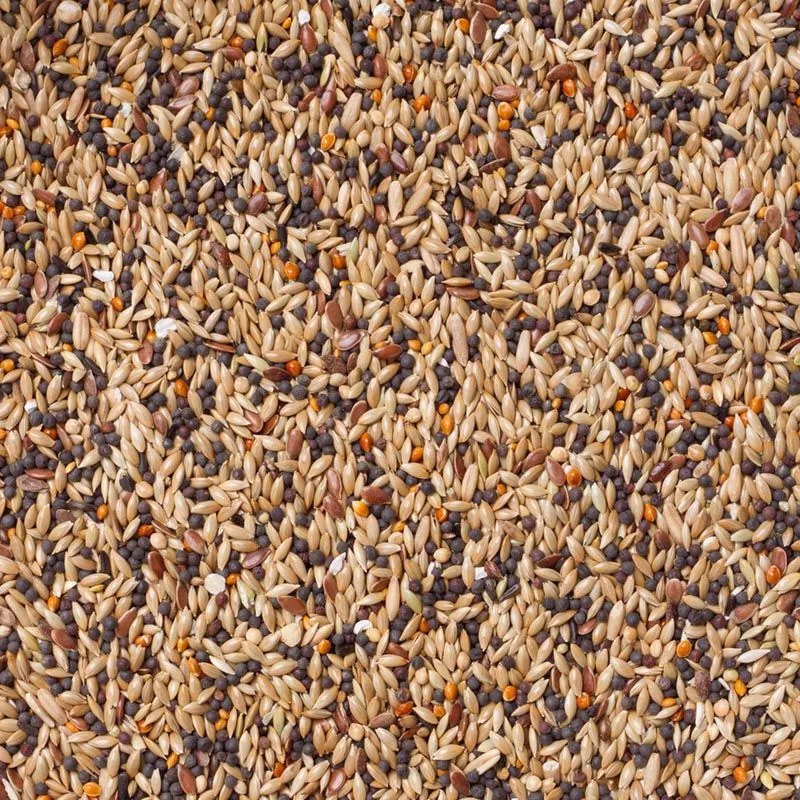 Vinken Winter Rust (Nr. 95) 20kg de Deli Nature – photo produit
