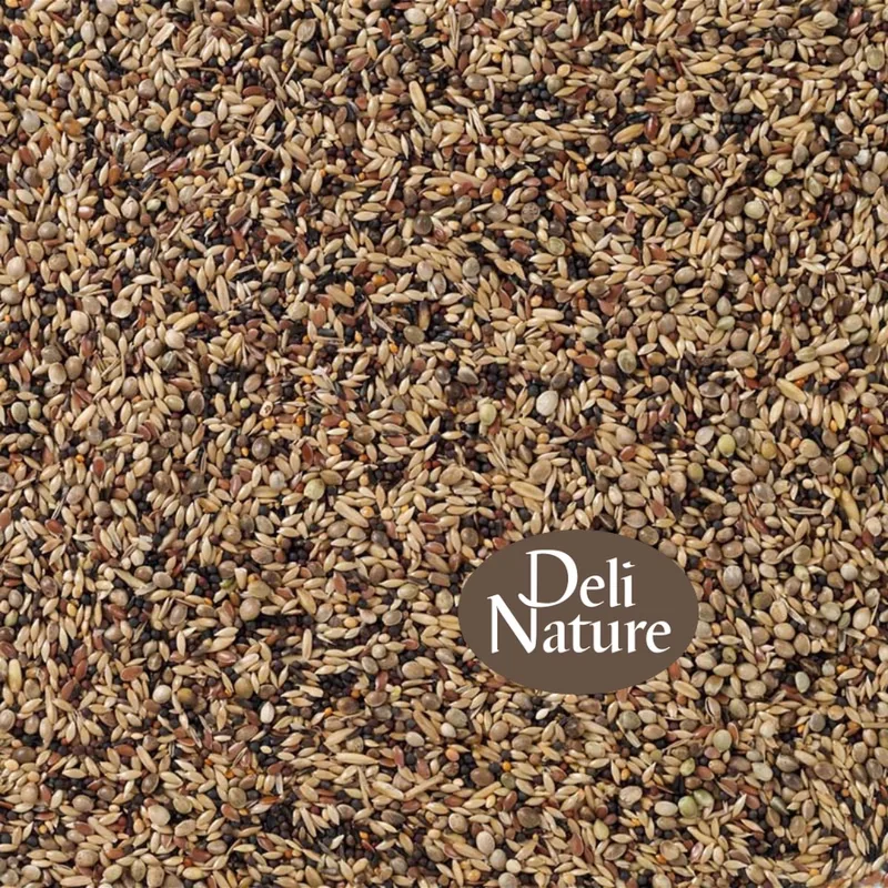 Vogelvoer- Deli Nature 91 Europese vogels- 2 kilo von Deli Nature – Produktfoto