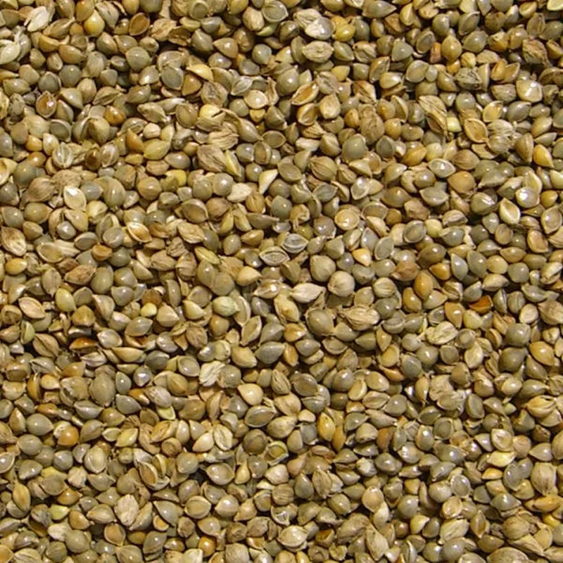 Vogelvoer- Japanse Millet- 2 kilo von Deli Nature – Produktfoto
