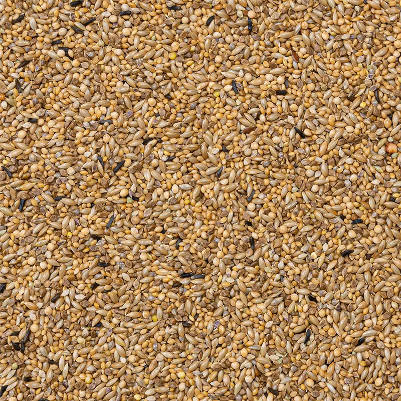 Zebravink Supreme (Nr. 42), 20kg de Deli Nature – photo produit