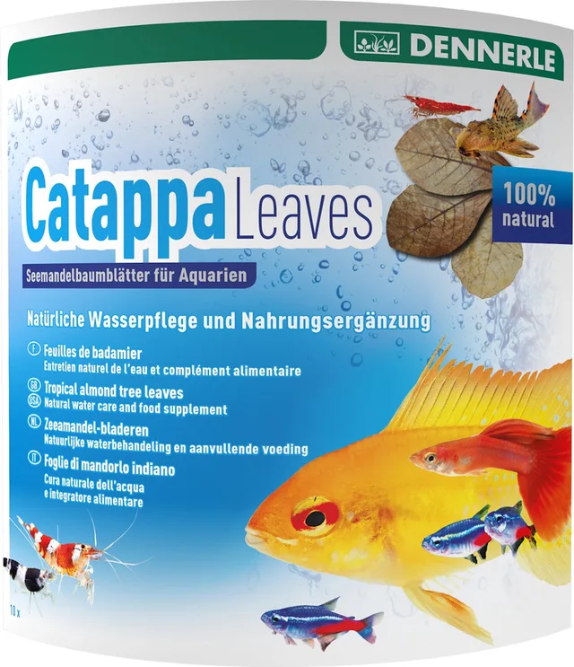Catappa Leaves 10 stuks | natuurlijke waterverzorging en bladvoer | voor aquarium tot 800 liter