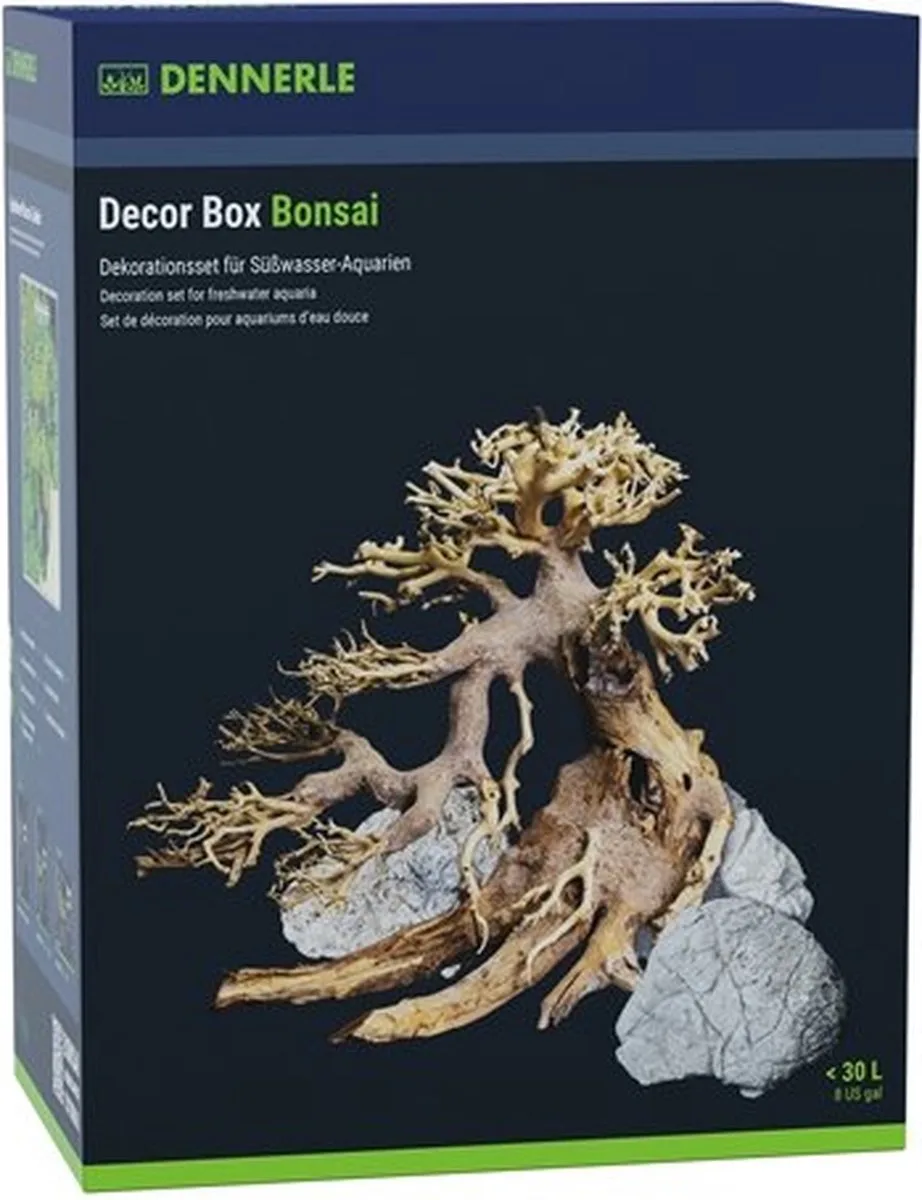 Decor Box Bonsai van Dennerle in Zwart – productfoto