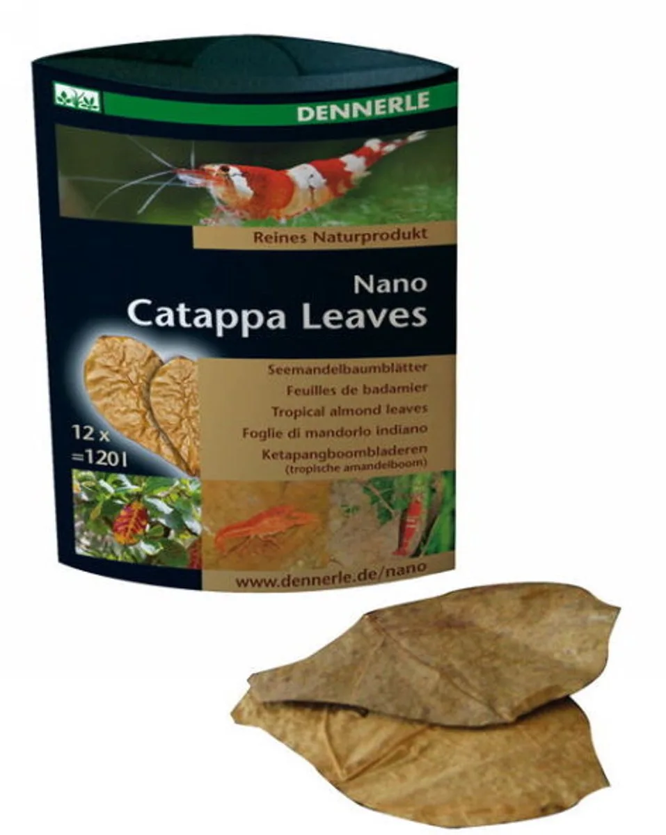 Nano Catappa Leaves | 12 stuks | natuurlijke waterverbeteraar en bladvoer voor garnalen van Dennerle in Bekijk productafbeelding – productfoto