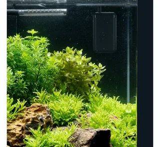 Nano Heater Constant - Aquarium Verwarming 35W by Dennerle in Black – product photo 5 of 5