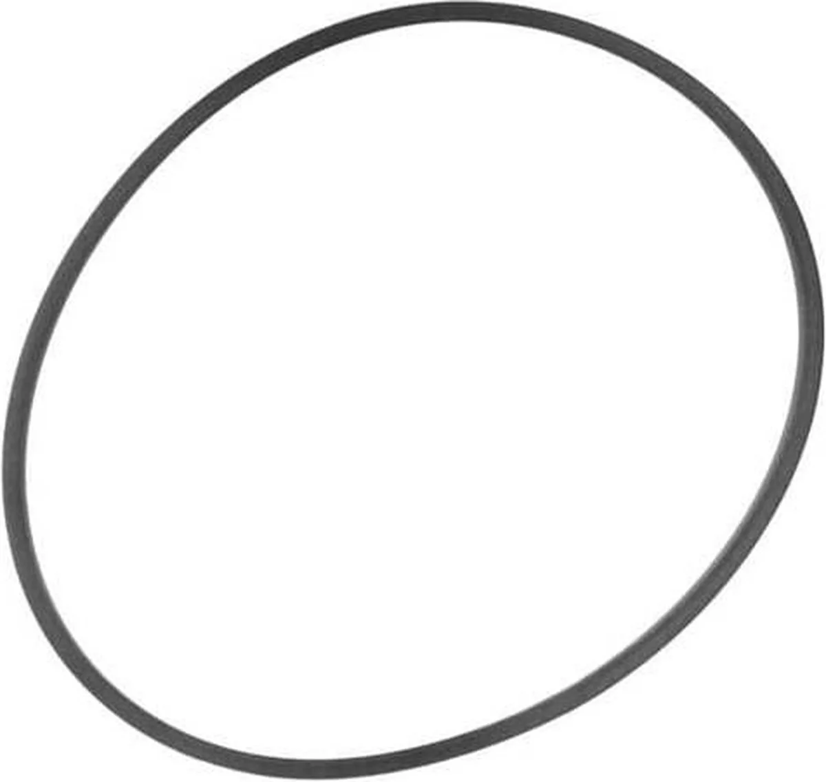 O-Ring Voor Skimfilter van Dennerle – productfoto