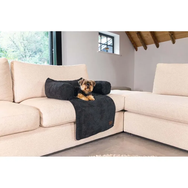 Bankkussen Ribbed - Hondenkussen - 50x50x30 cm de Designed by Lotte en Anthracite – photo produit 2 sur 2