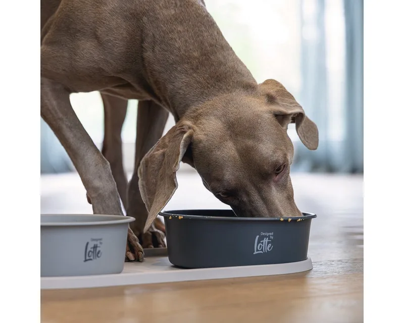 Oona Placemat Hond/Kat - Placemat voerbak - Vaatwasserbestendig - Silicone - 55x30x1,7 cm de Designed by Lotte en Beige – photo produit 4 sur 5