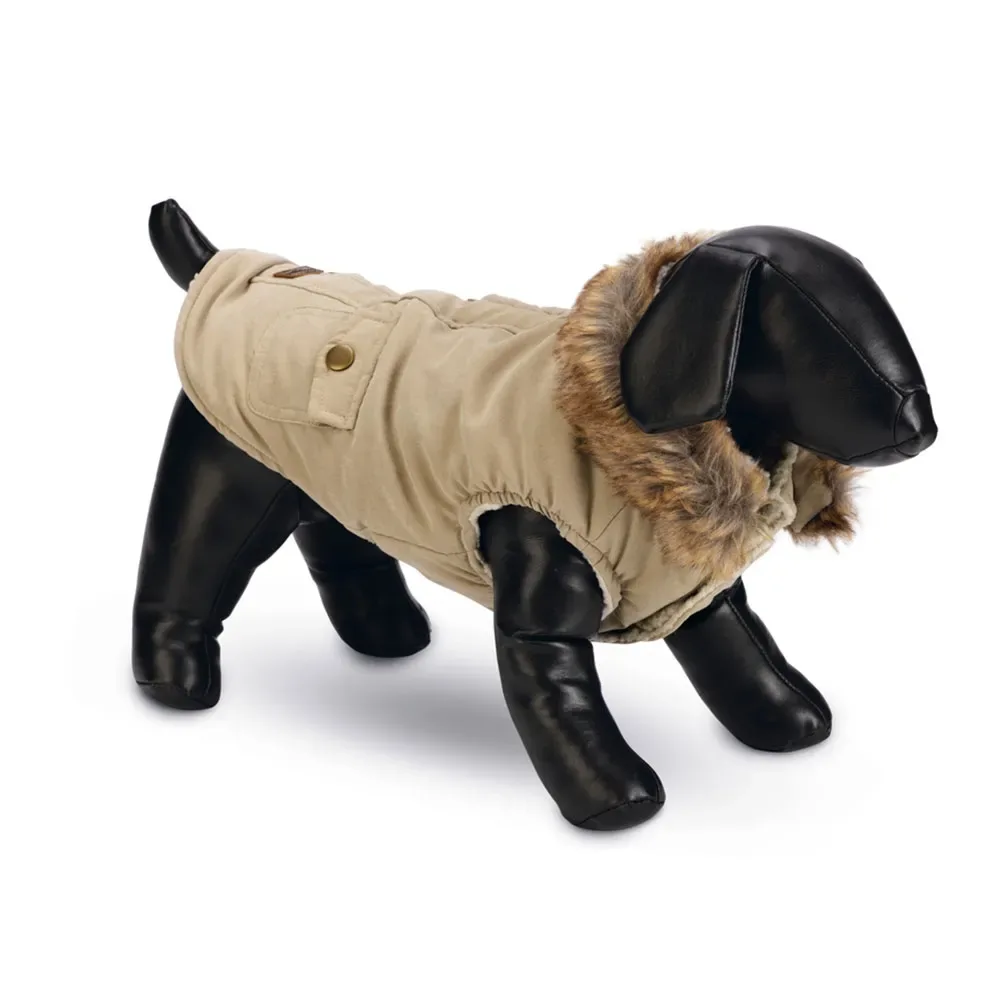 Philos Hundejacke von Designed by Lotte – Produktfoto