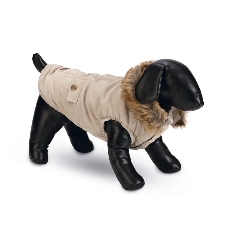 Philos Hundejacke von Designed by Lotte – Produktfoto